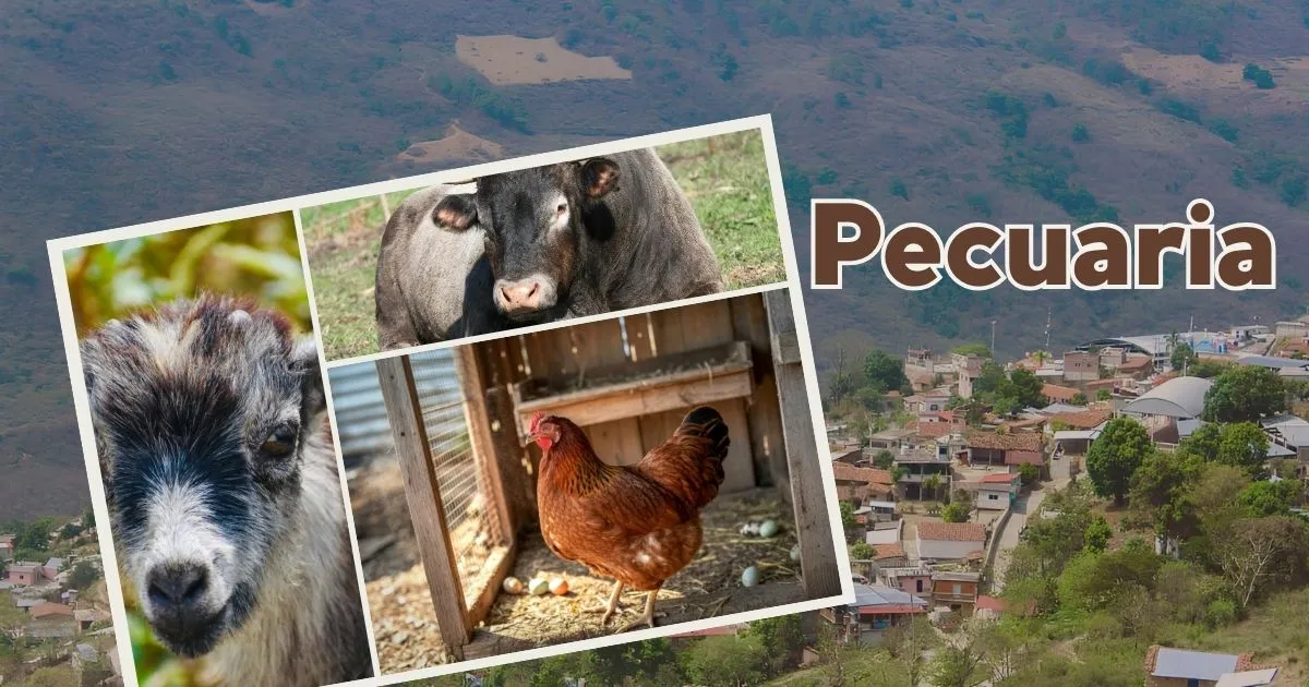 Estudiantes de la EST 95 participando en una jornada de vacunación de ganado bovino en la comunidad de Yalalag.